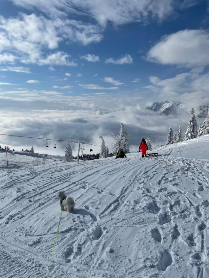 Villa Velika Planina Koca Kekec Stahovica Esterno foto